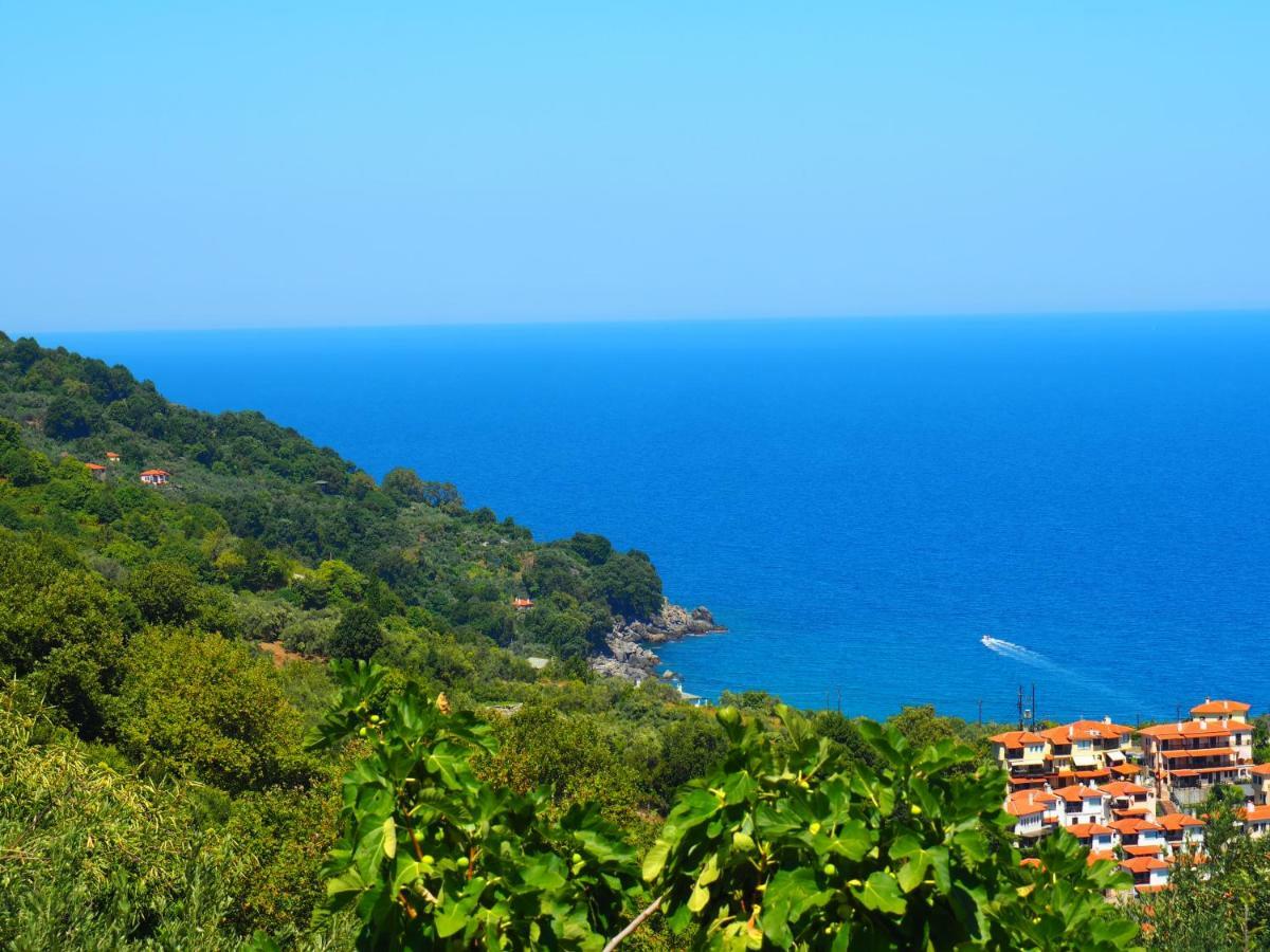 Felitsia Apartments & Studios Agios Ioannis  Eksteriør bilde